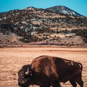 Meet your Posher, Ben